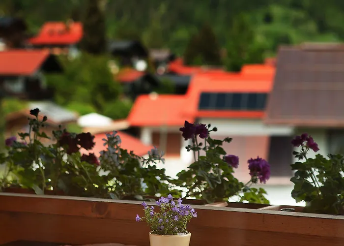 Kaiserfeld Reit im Winkl