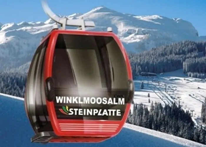 Daire Kaiserfeld Reit im Winkl